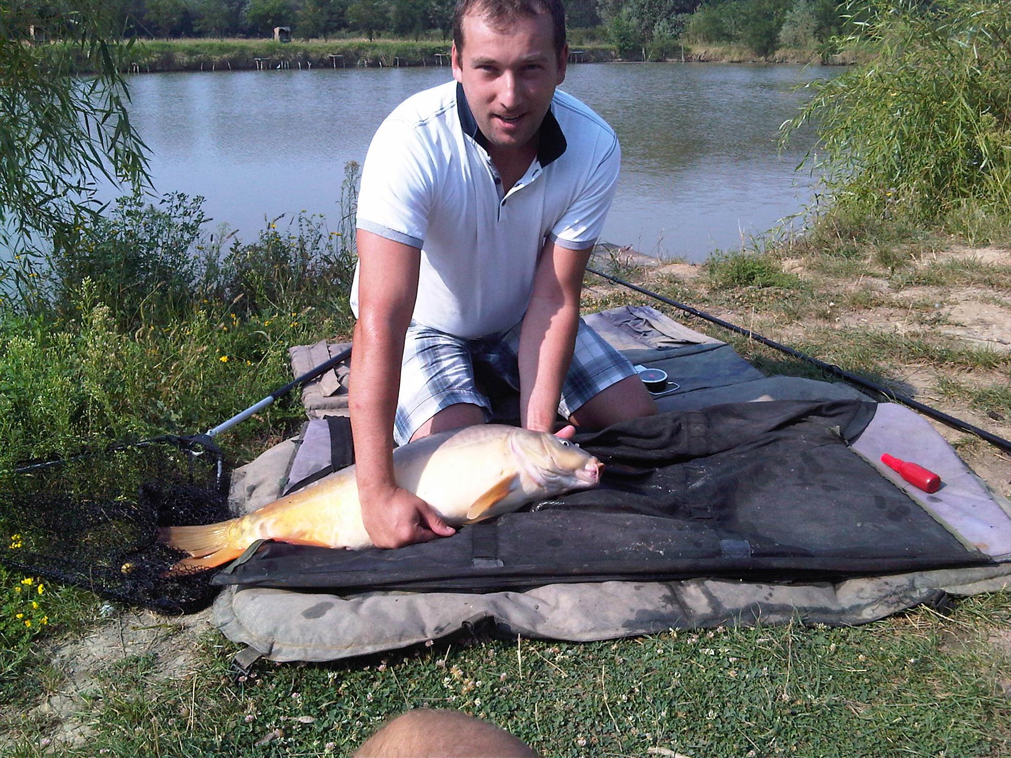 2013 - img00146-20110901-1028.jpg